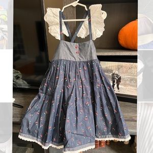 Well Dressed Wolf chambray apple dress size 6
